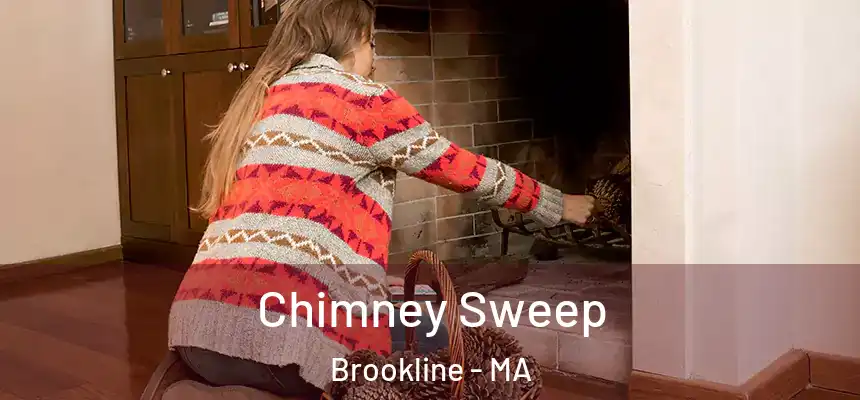  Chimney Sweep Brookline - MA
