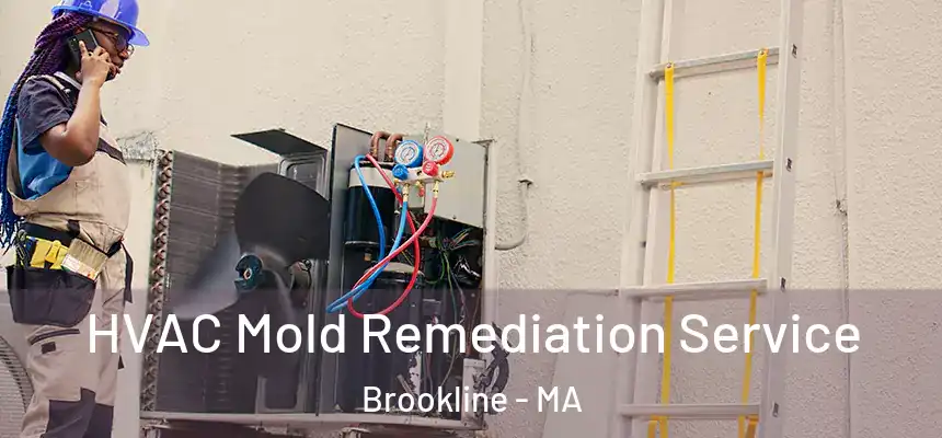  HVAC Mold Remediation Service Brookline - MA