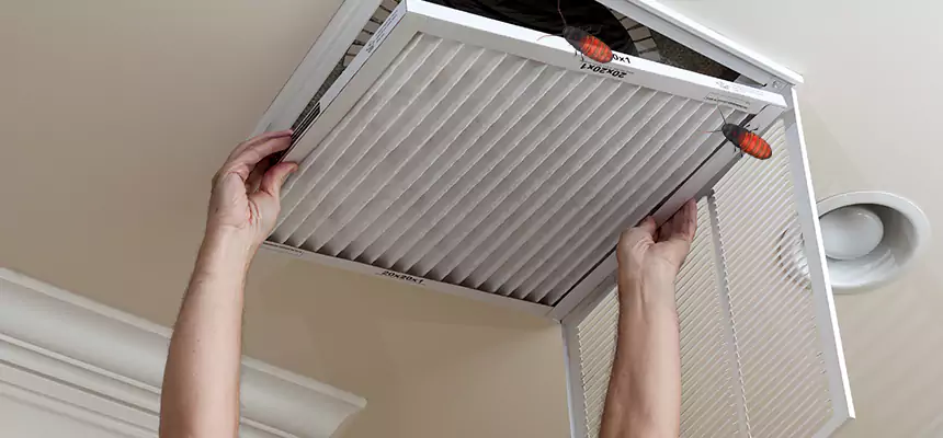 Preventive Cockroach-Proofing for Ducts in Brookline