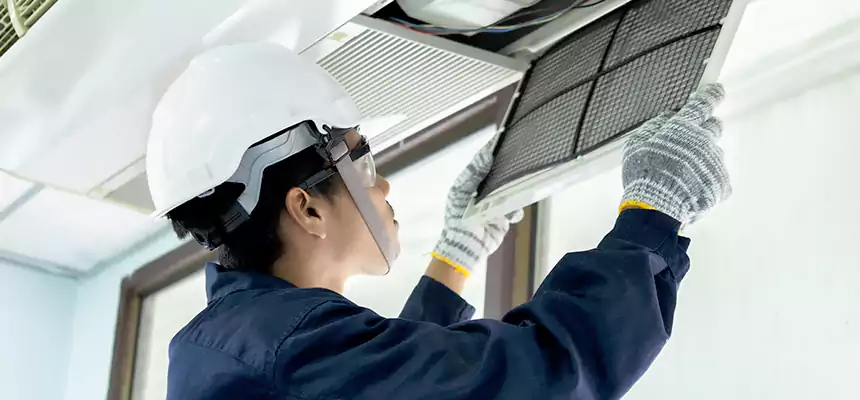 Our Mold & Mildew Removal from Air Ducts Services in Brookline, MA