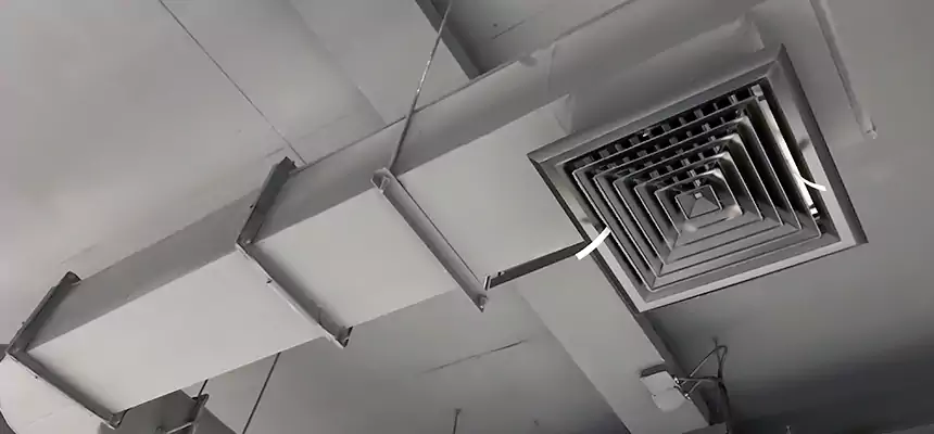 Our Pest Removal From Ducts Services in Brookline, MA