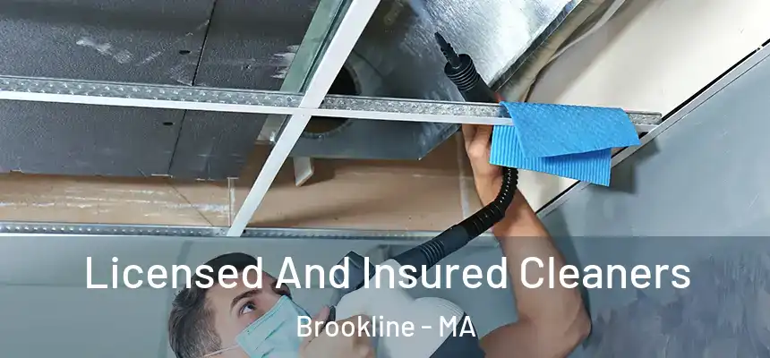  Licensed And Insured Cleaners Brookline - MA