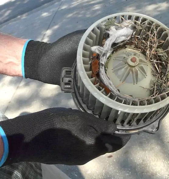 About Air Duct Mice Removal in Brookline, MA