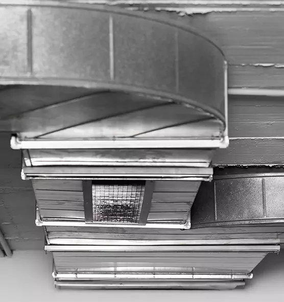 Professional Air Duct Pest Removal in Brookline, MA