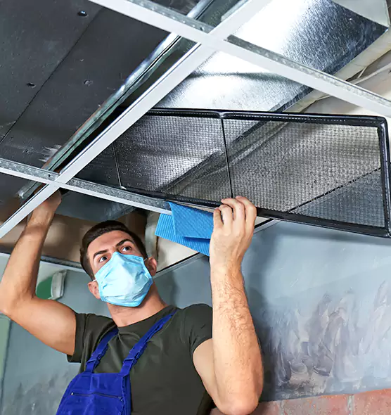 Professional Air Duct Pollen Cleaning in Brookline, MA