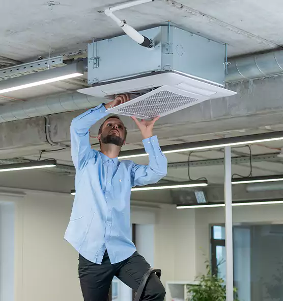 Advanced Rodent Droppings In Vents in Brookline, MA