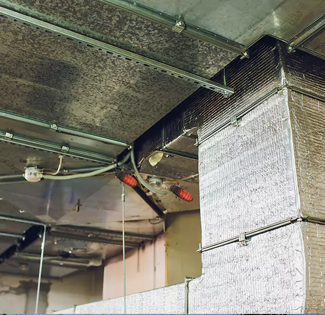 Why Homeowners & Businesses Trust Us in Brookline, MA?