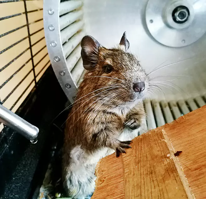 Why Homeowners & Businesses Trust Us Brookline, MA?