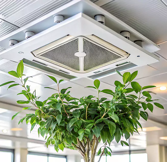 Why Homeowners & Businesses Trust Us in Brookline, MA?