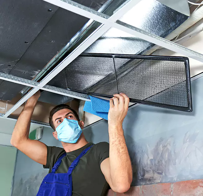 Why Homeowners & Businesses Trust Us in Brookline, MA?